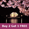 DC Cherry Blossom Festival 3 Days