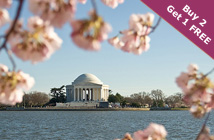 DC Cherry Blossom Festival 3 Days