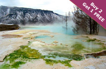 Yellowstone & Utah 5 Days