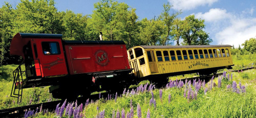 Foliage tour to Mt Washington 1 Day