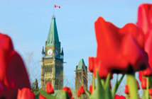 Ottawa Tulip Festival 2 Days (BOS)