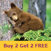 Canadian Rockies 7 Days
