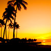 Hawaii 7 Days (D)